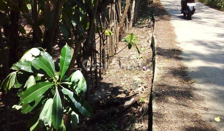 Tanah Bandulu Anyer Cocok Untuk Villa Nego 1