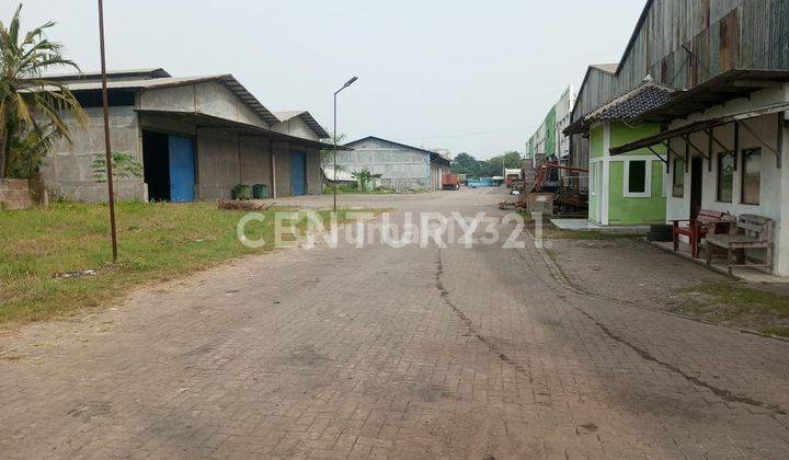 Tanah Berikut 11 Gudang Bojonegara Jl Terate 1