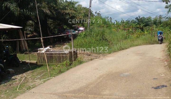 Tanah Multifungsi 100 Hektar Cikeusik Pandeglang 1