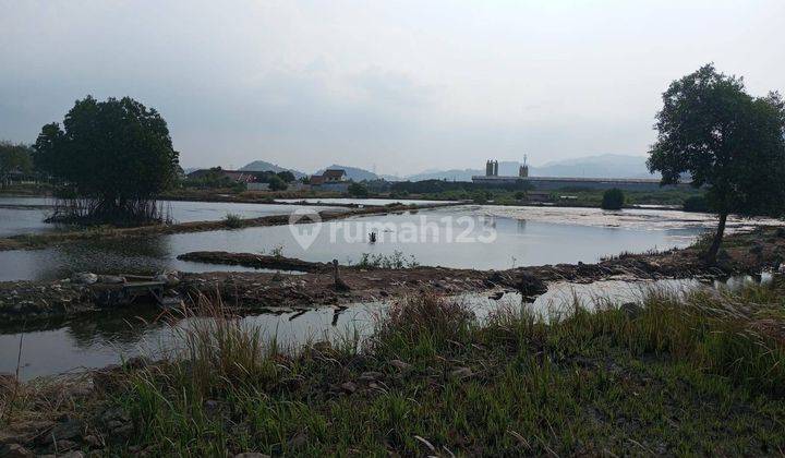 Tanah Bojonegara 30 Hektar Multifungsi Nego Halus 1