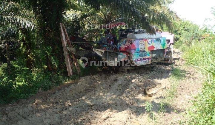 Tanah Multifungsi 100 Hektar Cikeusik Pandeglang 2