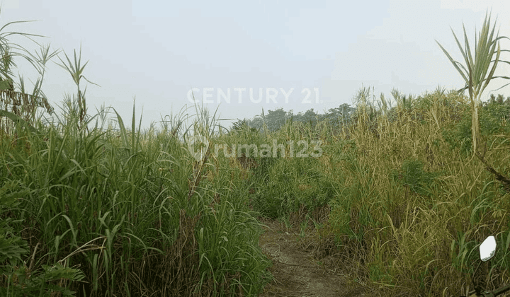 Tanah 20 Hektar Jl Kh Nawawi Polda Banten 2