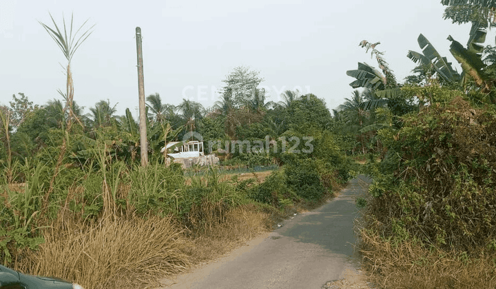 Tanah 20 Hektar Jl Kh Nawawi Polda Banten 2