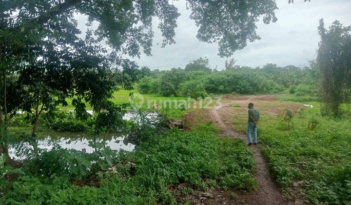 Tanah Jl Raya Petir Dekat Perumahan Kedaton Grande 1