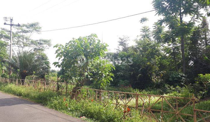 Dijual Tanah SHM di Desa Palasari Ciater 2