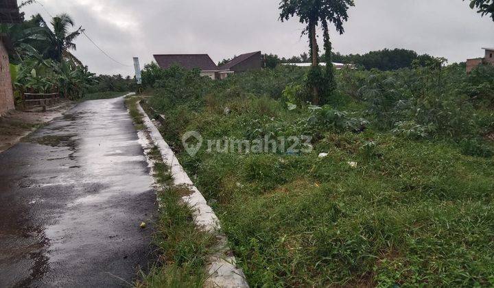 Tanah Darat SHM cocok untuk Perumahan di Jalan Taman Pancur 2