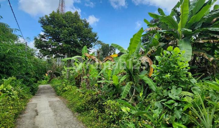 Tanah Kavling Dijual di Br. Begawan, Payangan. 