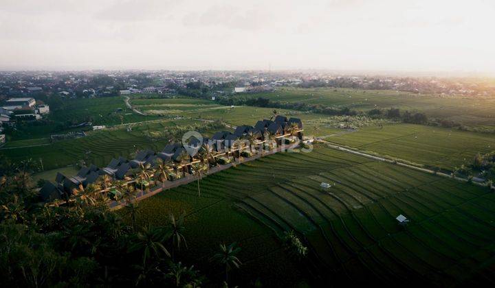 Freehold Villa with Rice Field View in Canggu 1