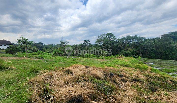 Tanah Murah Dekat Pantai Nyanyi, View Sawah Dan Sungai 1