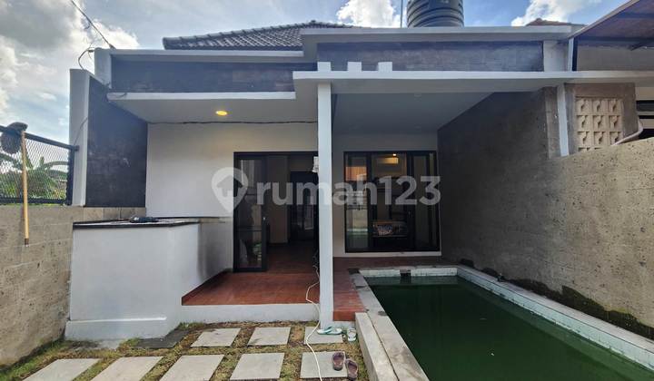 Brand New Freehold Villa in Betaka, Padonan, Canggu.