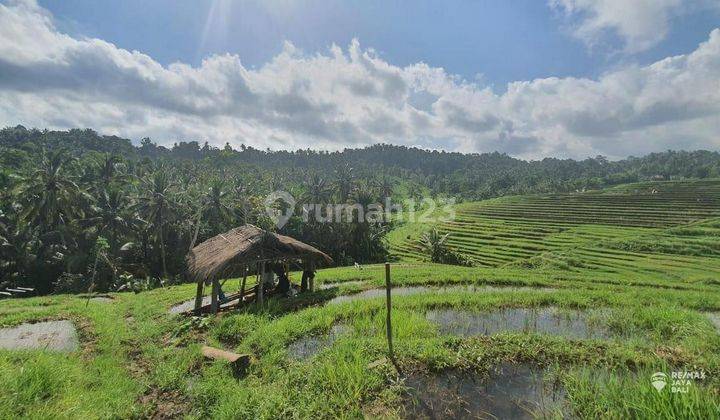 Tanah Dijual View Sawah Yang Cantik di Area Jati Luwih, Tabanan 1