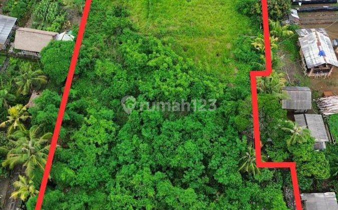 Tanah Dijual 1 Menit dari Bypass IB Mantra, Gianyar. 2