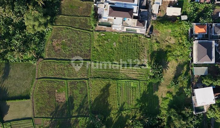 Tanah Kavling Dijual di pusat Ubud