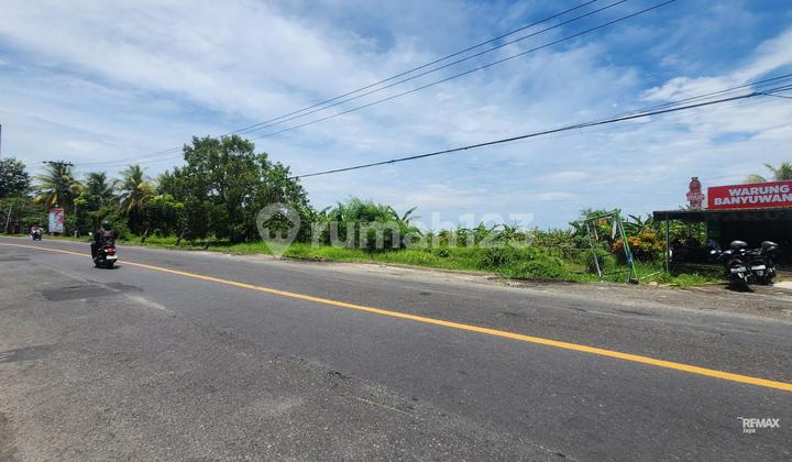 Tanah ±6 Ha Koridor Utama Logistic, Dijual di By Pass Gilimanuk. Tanah ±6 Ha Koridor Utama Logistic, Dijual di By Pass Gilimanuk.