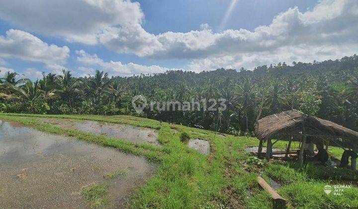 Tanah Dijual View Sawah Yang Cantik di Area Jati Luwih, Tabanan 2