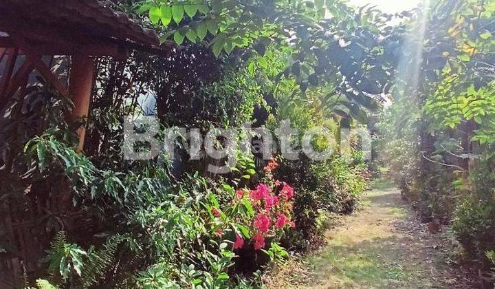 TANAH SAWOJAJAR MALANG COCOK UNTUK CLUSTER⁸ 1