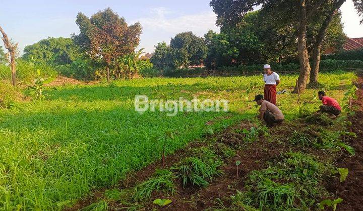 TANAH BOGOR LUAS COCOK BANGUN TOWN HOUSE 2