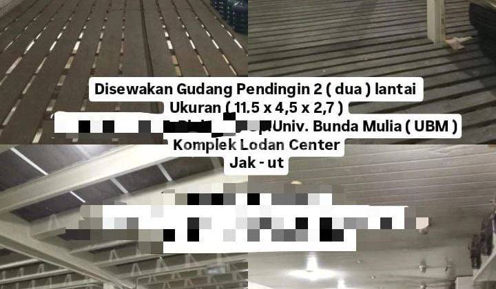 Gudang Disewakan Lodan Centre Jkt Utara 2