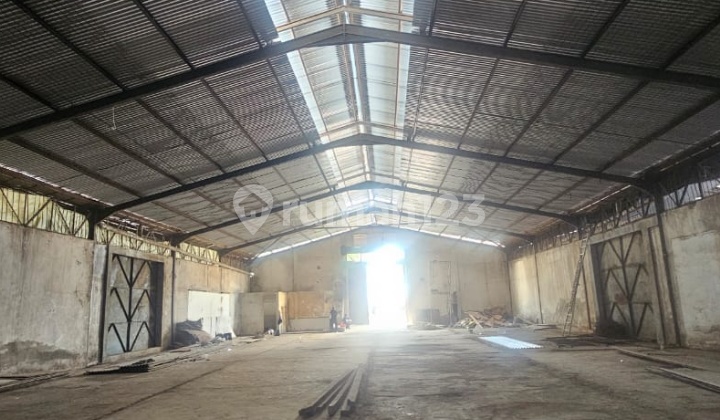 Gudang Disewakan Pluit Jkt Utara Gudang Disewakan Pluit Jkt Utara