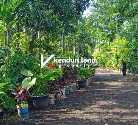 Di Jual Tanah Kavling Siap Bangun Strategis di Jati Padang 3