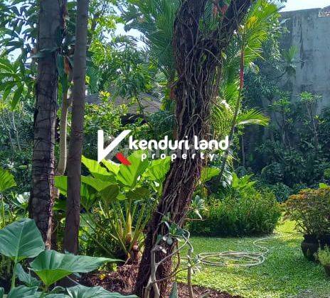Di Jual Tanah Kavling Siap Bangun Strategis di Jati Padang 6