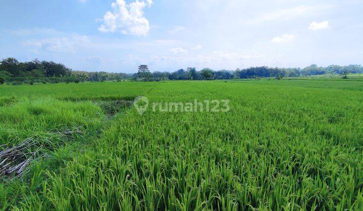 Tanah ceper akses kontainer cocok untuk gudang 2