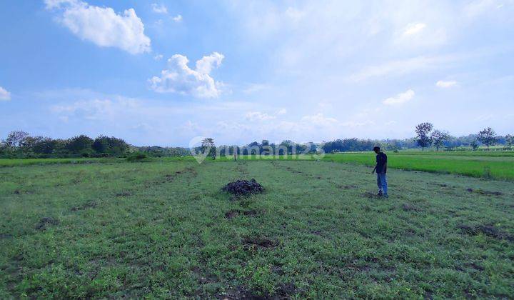 Tanah colomadu pinggir jalan propinsi dekat rumah jokowi 2