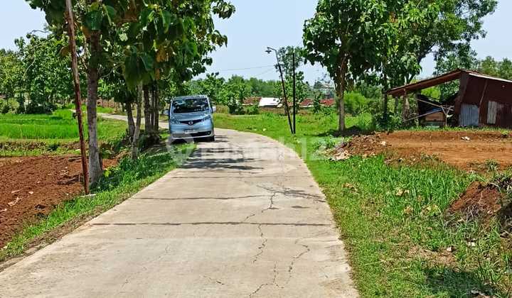 Tanah Pekarangan Luas 4600 m² di Jeruksawit Gondangrejo Tanah Pekarangan Luas 4600 m² di Jeruksawit Gondangrejo