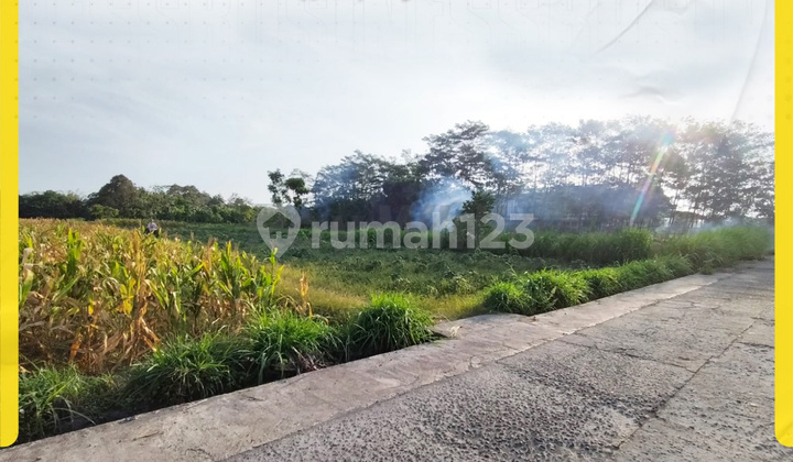 Tanah Kavling Luas 1,2 Ha di Randusari Teras Boyolali Tanah Kavling Luas 1,2 Ha di Randusari Teras Boyolali