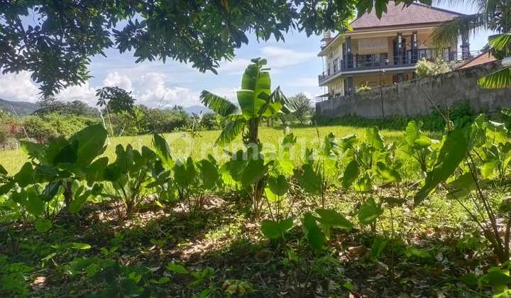 For Sale Good Land With Beautiful View Close To Central Lovina For Sale Good Land With Beautiful View Close To Central Lovina