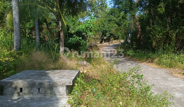 For Sale Land 20 Are With Wall Around And Beside Good Villas Just 20 Meter From The Beach 2
