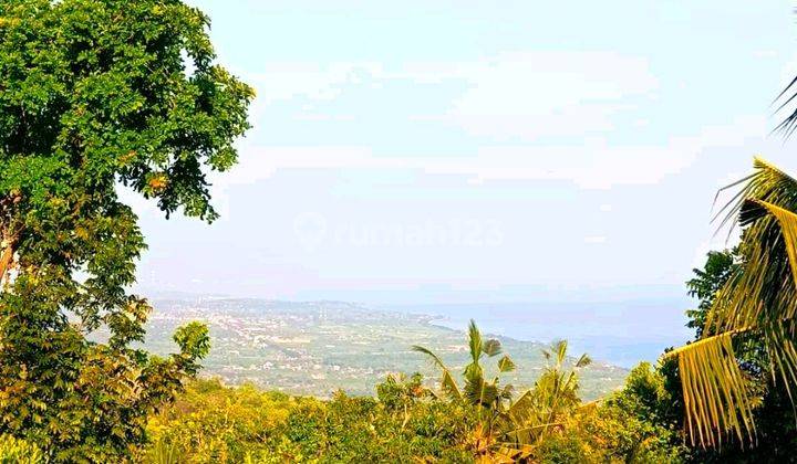 For Sale   Premium Land With Ocean View,montain  On Asphalt Road Ready To Build Sale Direct Owner  2