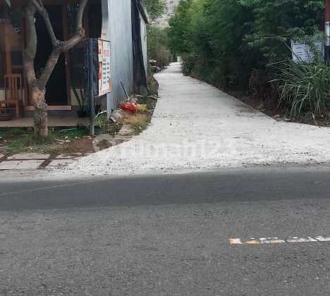 Di Jual 60 Juta Per Are Tanah Di Pemutaran Bali