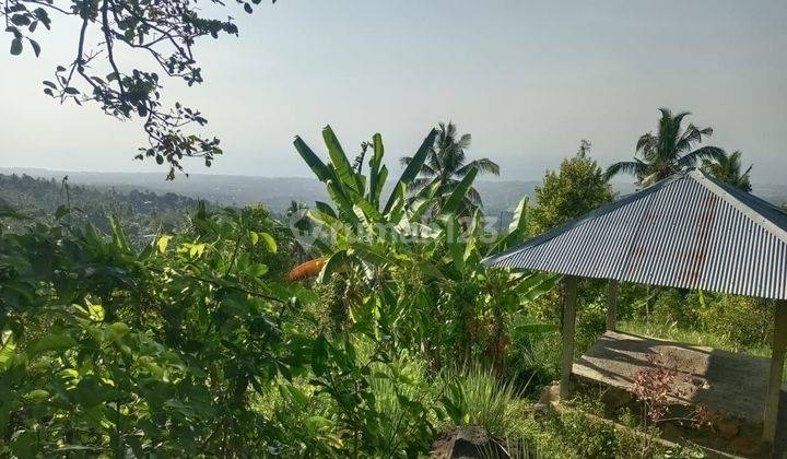 For Sale Ocean View Land In Panji Area And Many Waterfalls Around  2