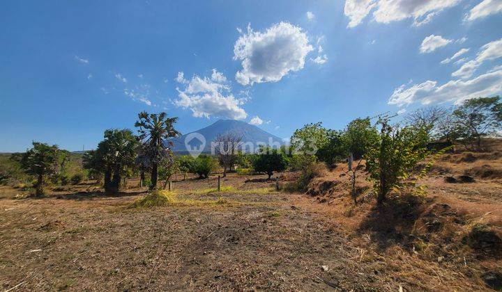 For Sale Land Ocean View Near Central Diving In Tulamben  2