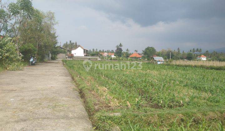 For Sale 7 Are Land In Central Lovina Just Walking Distance To The Beach 2