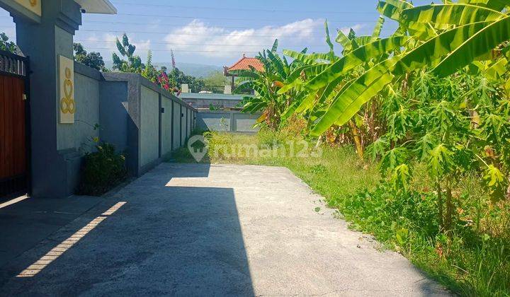 For Sale Flat Land Good For Making Villa In Lovina Area  2