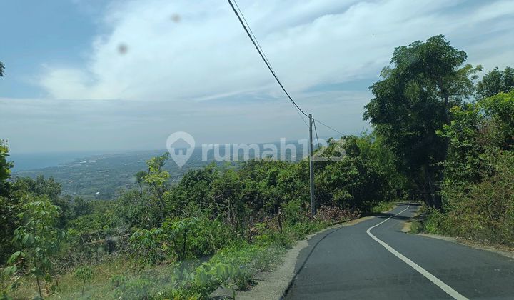 Buc For Sale Ocean View On Aspal Road Good For Villa Buc For Sale Ocean View On Aspal Road Good For Villa