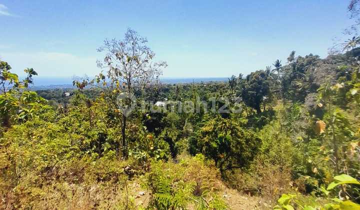 For Sale Ocean View On Aspal Road Good For Villa Or Small Resort 