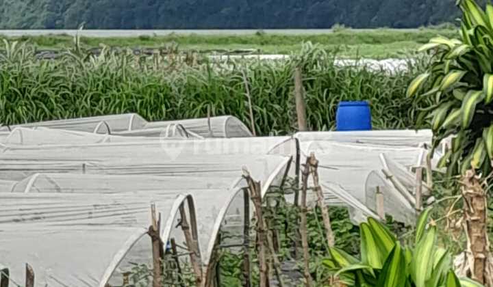 For Sale 20 Are Land With Lake View Inbedugul