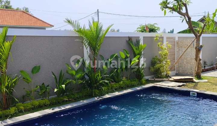 For Sale 3 Br Newbrand Villa Near Lovina View To The Ricefild