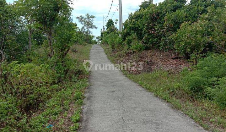 Di jual global rumah dan tanah 1