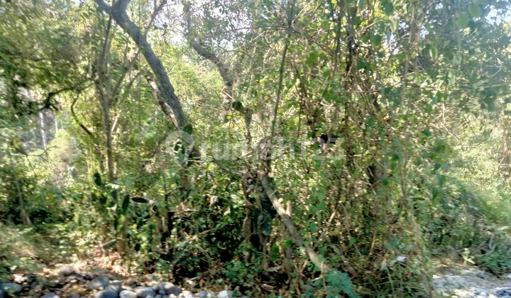 Dijual tanah pinggir pantai  seraya Karangasem bali  4