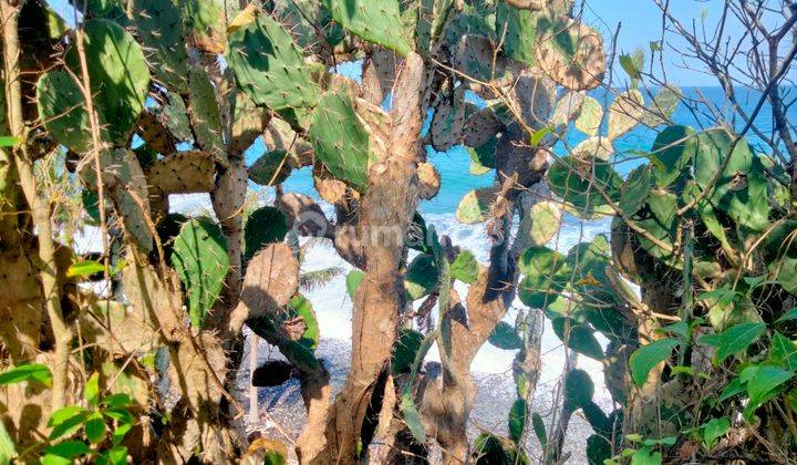 Dijual tanah pinggir pantai  seraya Karangasem bali  6