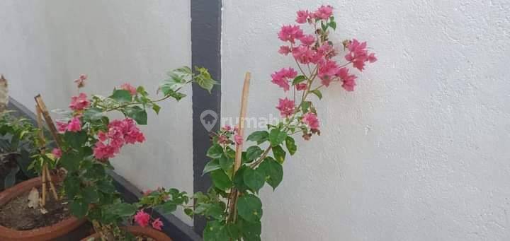 Dijual villa jasri lumbung pantai jasri Karangasem Bali  15