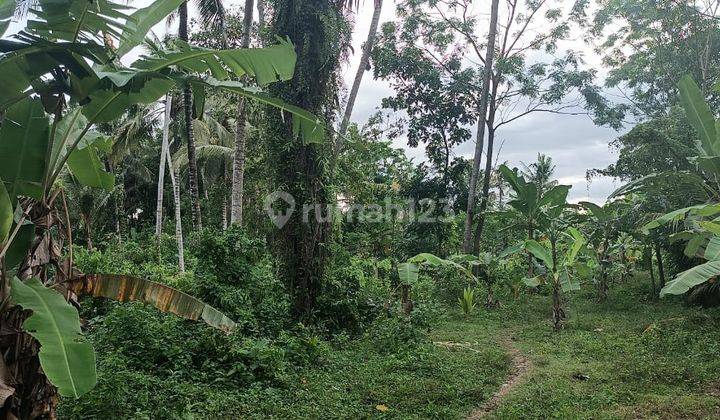 Dijual tanah 10 meter dari jalan raya Karangasem  2