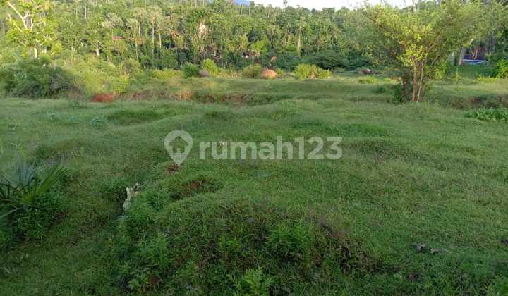 FOR SALE land with 4 view beautiful  in Karangasem bali  5