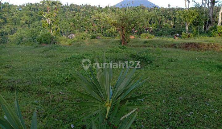 FOR SALE land with 4 view beautiful  in Karangasem bali  6