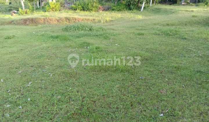 FOR SALE land with 4 view beautiful  in Karangasem bali  8