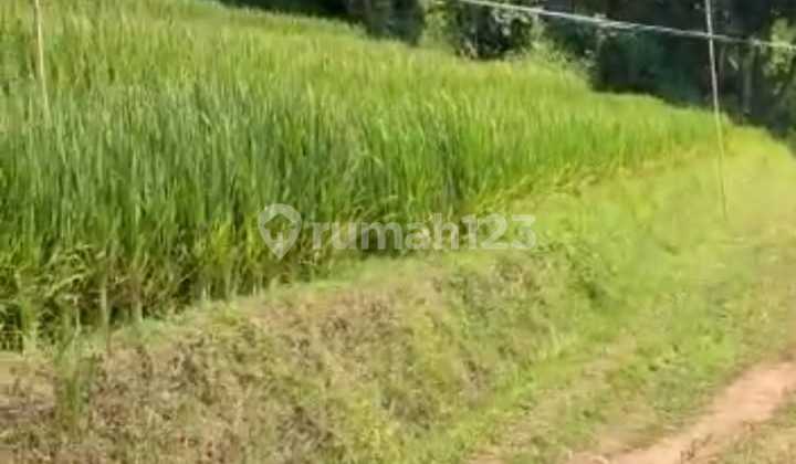 FOR SALE VILLA MURAH  14